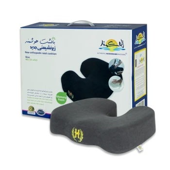 زیرنشیمنی طبی هوشمند (Uشکل)